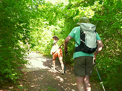 Outdoors Video Of Amazing Group Sex With Elise Moon While Hiking