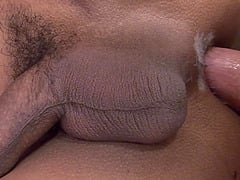 Asian Shemale Bo Ryder Spreads Legs To Be Fucked In The Asshole